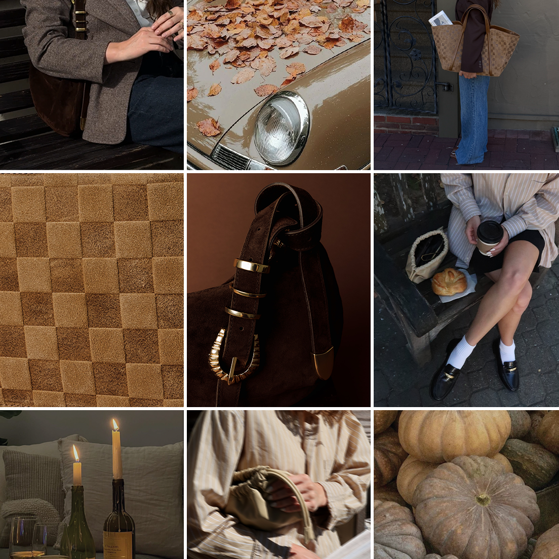 Fall Favorites