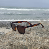 Malibu Sunglasses