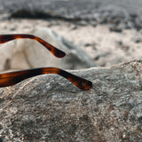 Malibu Sunglasses