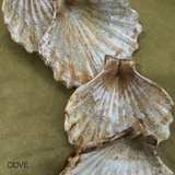 Ceramic Scallop Shell Dish, Cove