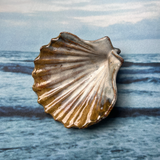 Ceramic Scallop Shell Dish, Lagoon
